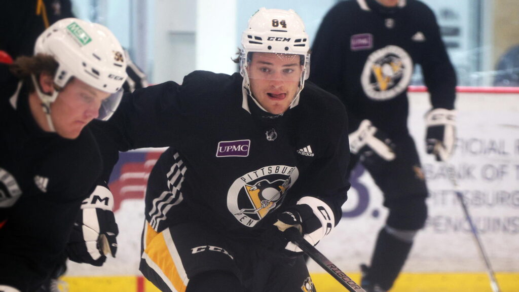 Do not neglect the prospect before this penguins Fb2dadde 130d 4d66 8d40 df68fb5977ec.jpeg