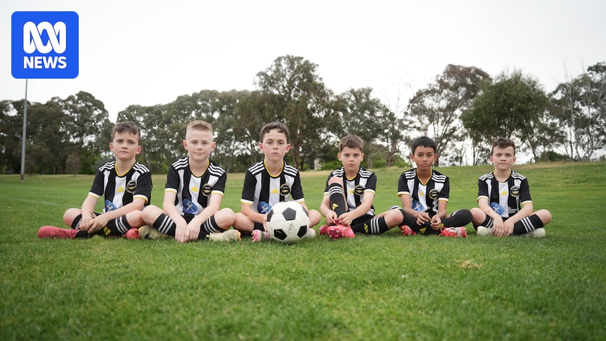 Gungahlin United Football Club’s debt exceeds $550,000 as closure leaves families ‘totally blindsided’ 9836dd787f01b092ea5916a655b07026.jpeg